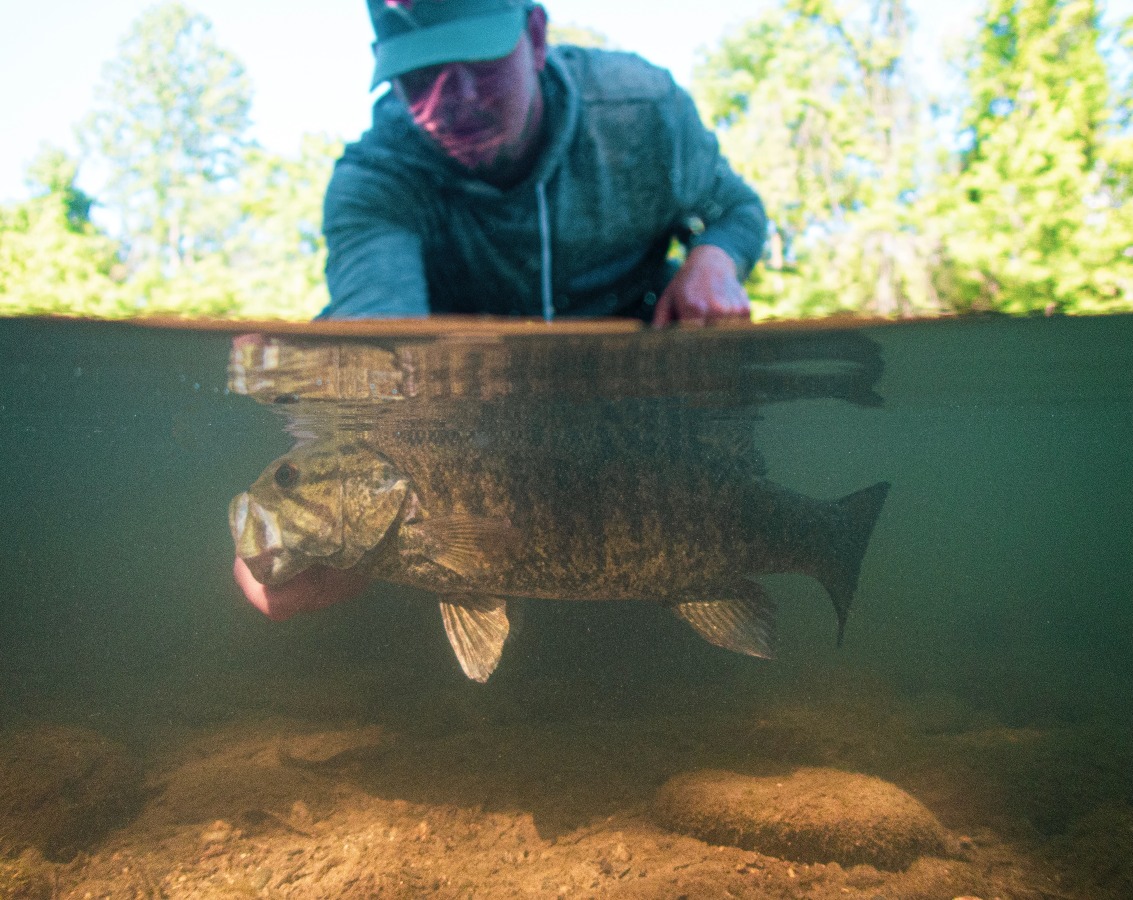Missouri Ozark smallmouth fly fishing