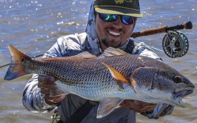 Finding Success Saltwater Fly Fishing Species