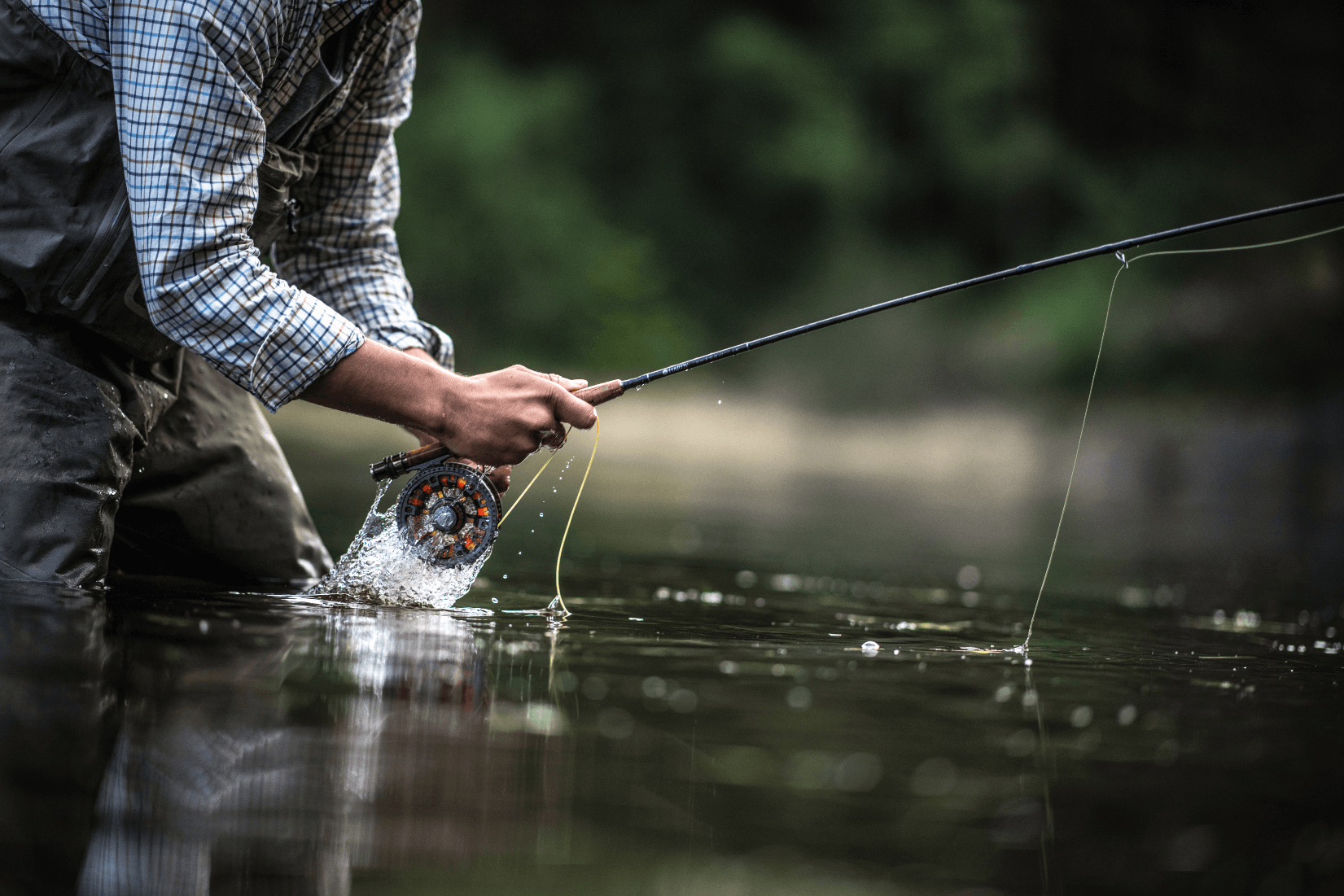 Sage Salt HD fly rod