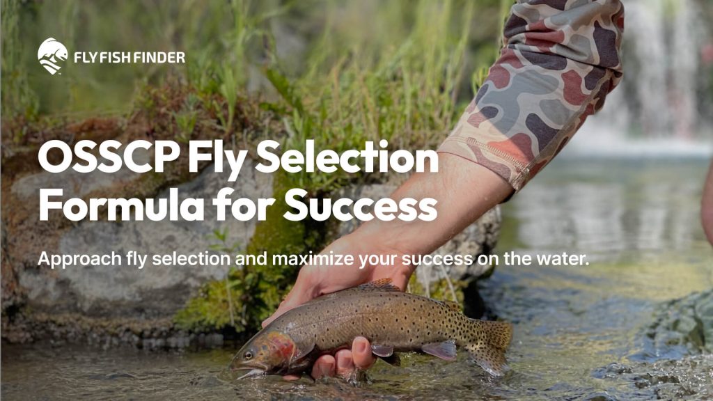 FlyFishFinder OSSCP Fly Selection Formula for Success 1