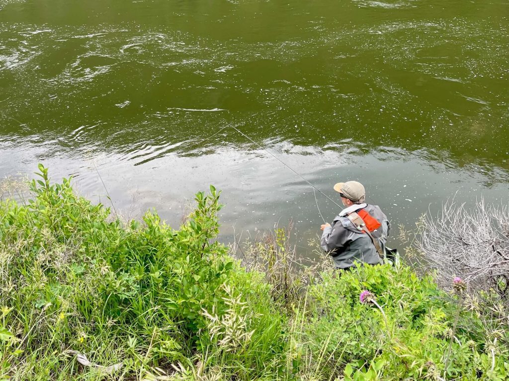 FlyFishFinder Missouri River 1 1 1